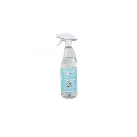 CARTON DE 12 PIECES VINAIGRE MENAGER SPRAY 10° 750 ML